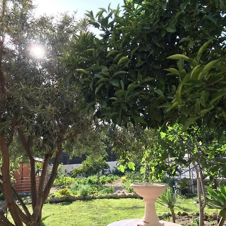 Bed & Breakfast Magna Grecia Lazzaro